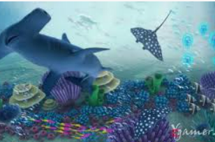 娱乐星空下载app2024最新版